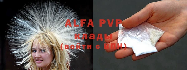 прущие грибы Аркадак