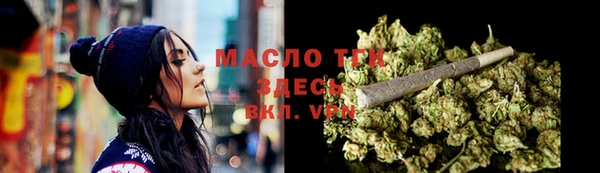 гидра Дегтярск