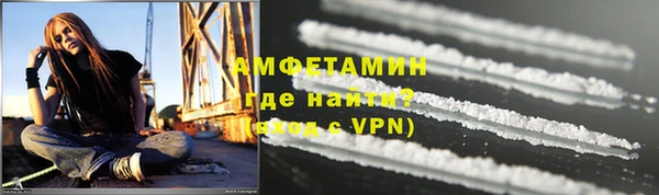 прущие грибы Аркадак