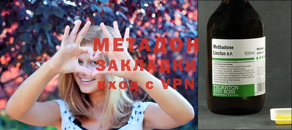 прущие грибы Аркадак